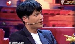 黄毅清爆料娱乐圈内幕,黄毅清爆料内幕，揭开明星背后的真相